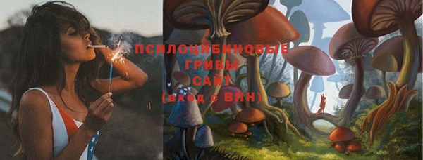 a pvp Арсеньев