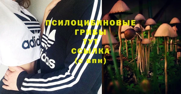 круглые Армянск